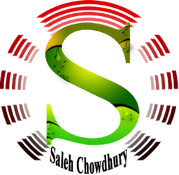 Salsyl Digital Logo