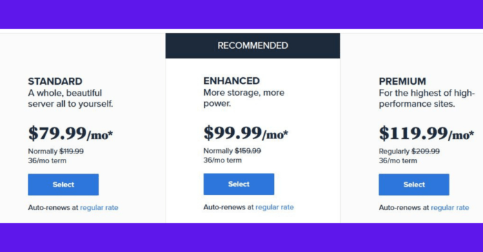 Dedicated Hosting Plan