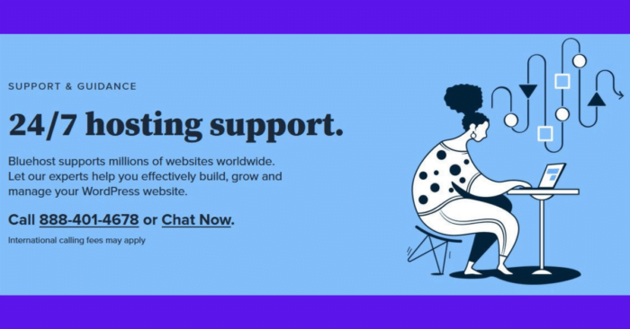 Bluehost Hosting Support