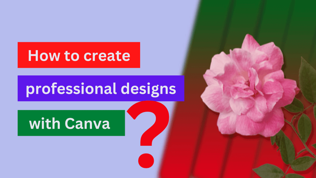How to Make Professional Designs With Canva | Salsyl Digital